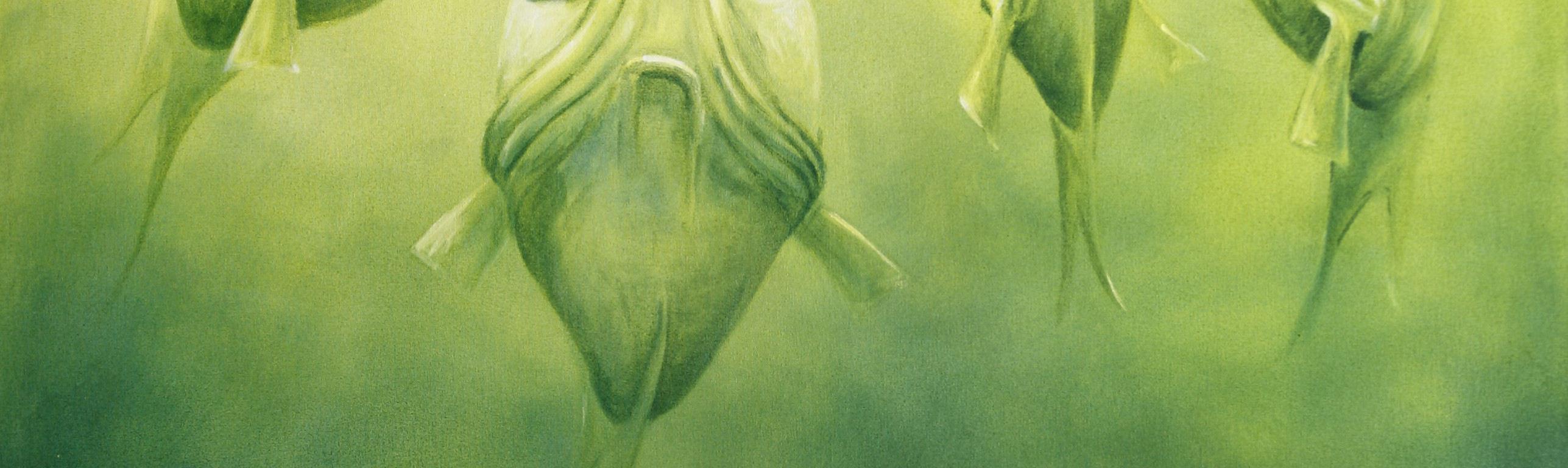 james hobrecht mafia record release